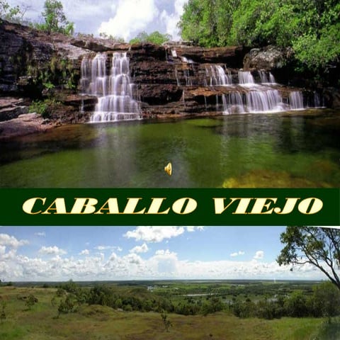 Los llanos-orientales-milespowerpoints.com