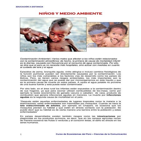 Los NiñOs Y El Medio Ambiente | PDF