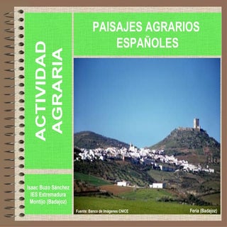 Los paisajes agrarios de España