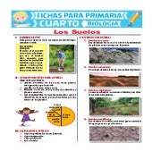TALLER TIPOS DE SUELO Y LOS TIPOS DE SUELO | PDF