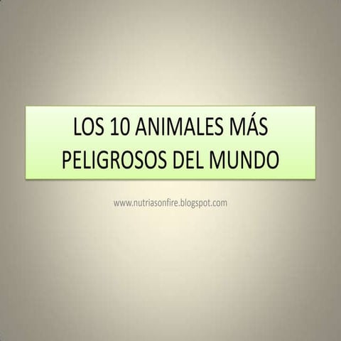 Los 10 animales más peligrosos del mundo