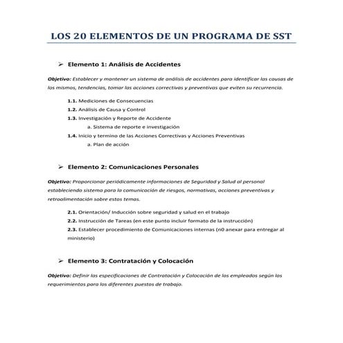 LOS 20 ELEMENTOS DE UN PROGRAMA DE SST.pdf