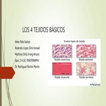 LOS 4 TEJIDOS BÁSICOS terminado.pptx