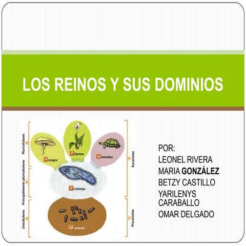 LOS REINOS Y SUS DOMINIOS