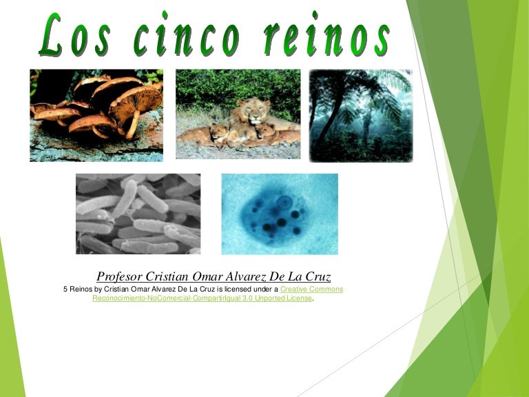 Cuales Son Los 5 Reinos De La Biologia Gufa