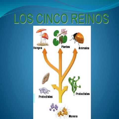 Los 5 reinos biologicos
