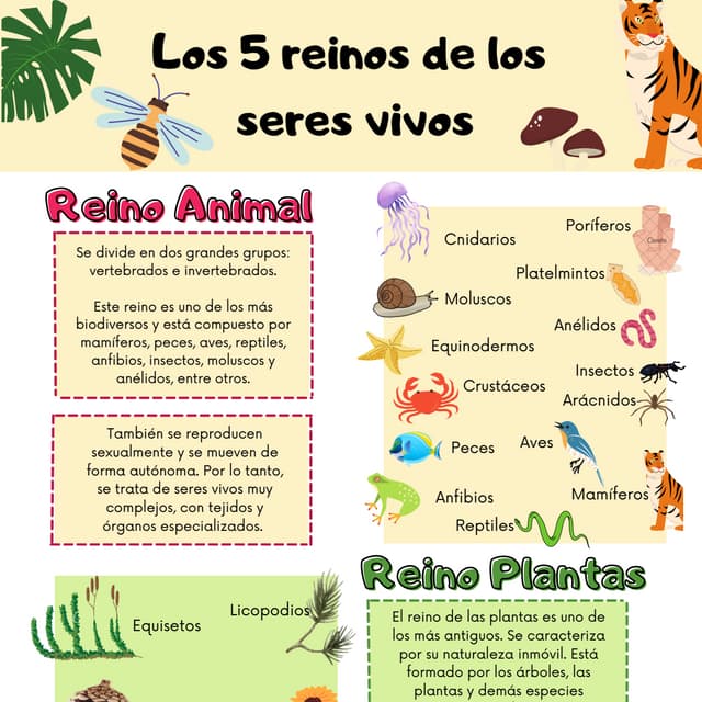 Los 5 reinos de los seres vivos.pdf