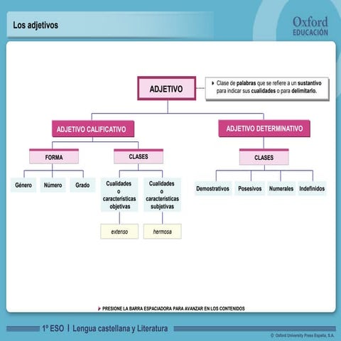 Los adjetivos calificativos y determinativos