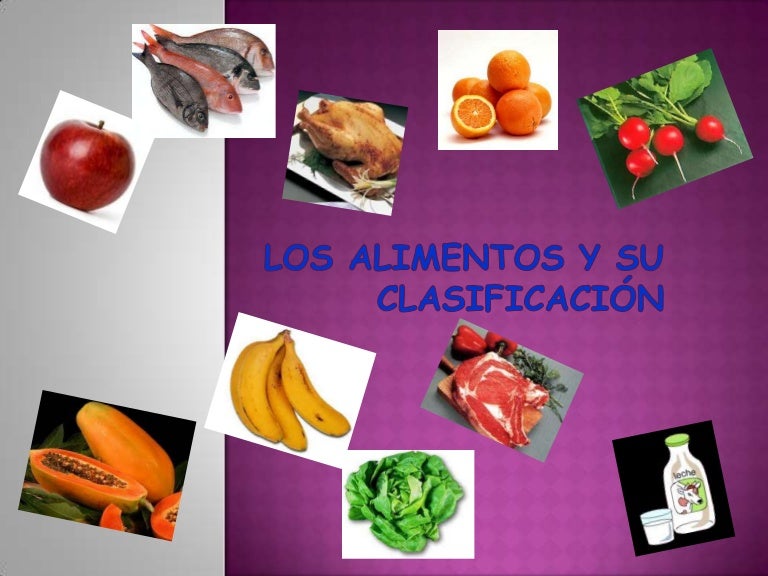 Los alimentos y su clasificación