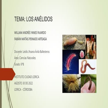 LOS ANELIDOS.pptx