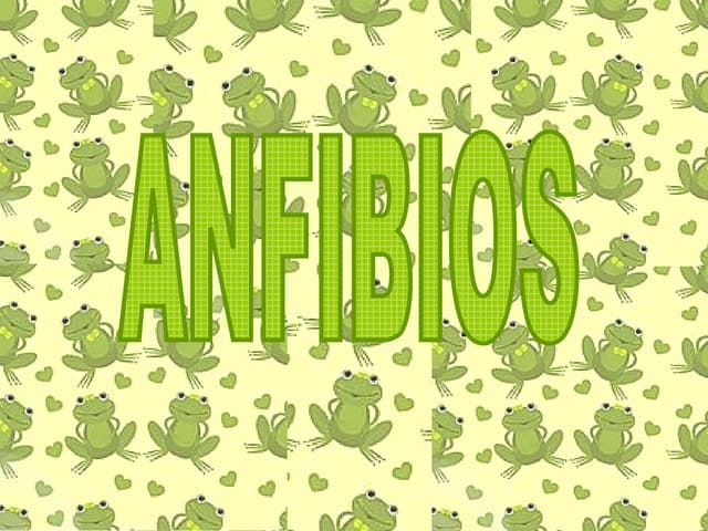 Los anfibios