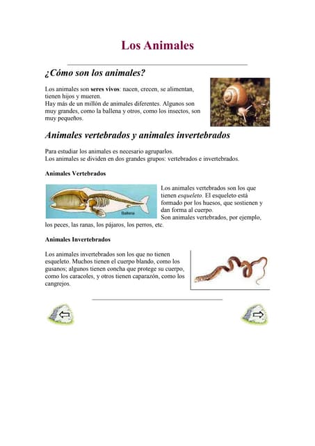 Los animales | PDF