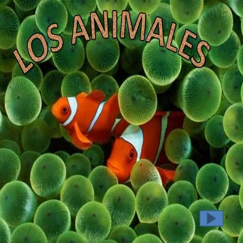 Los animales