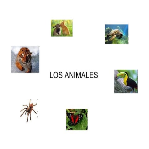 Los animales