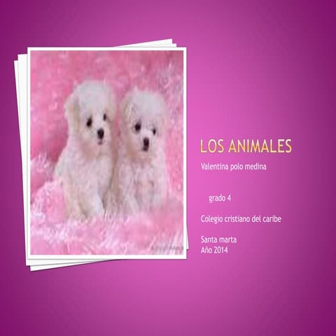 Los animales