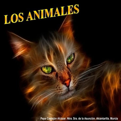 Los animales en primero de Primaria