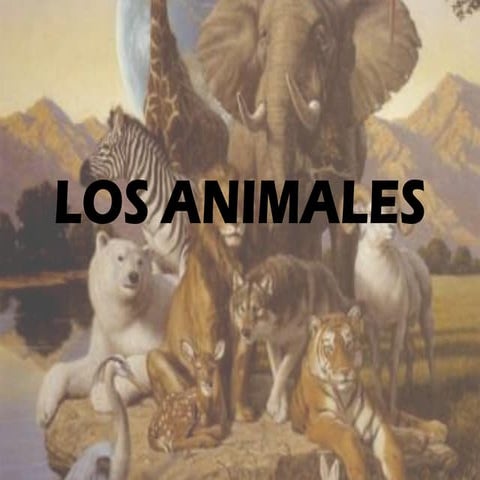 Los animales 3º | PDF