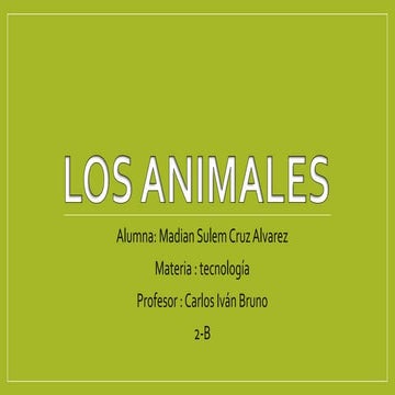 ANIMALES :3