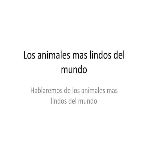 Los animales mas lindos del mundo