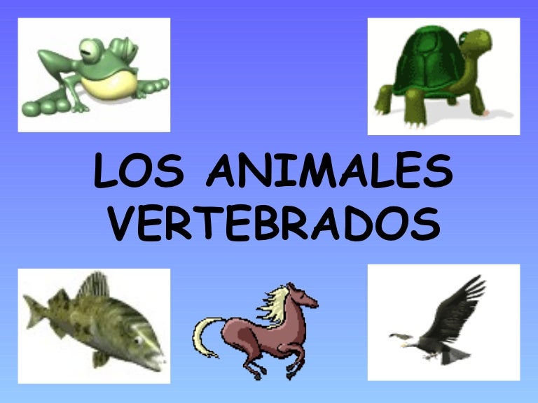 ANIMALES VERTEBRADOS