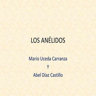 Los anélidos presentacion