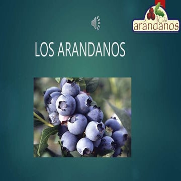 Los arandanos