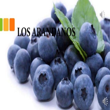 Los arandanos