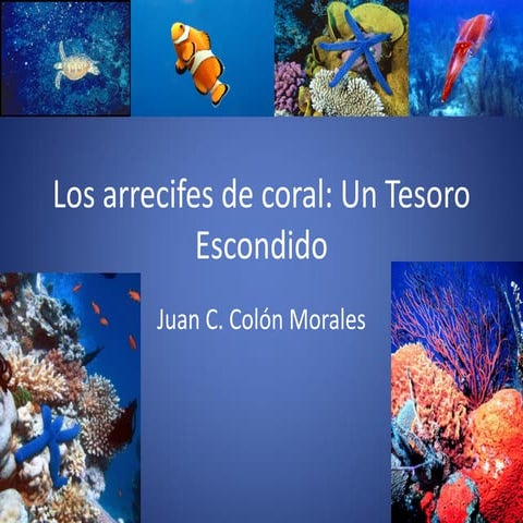 Los Arrecifes De Coral