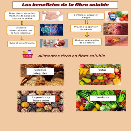 Los beneficios de la fibra soluble 