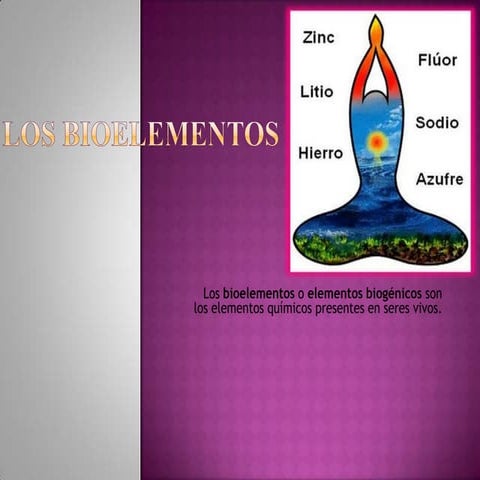 Los bioelementos | PPTX