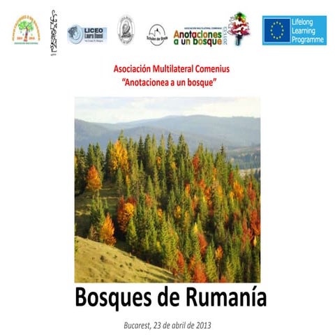 Los bosques de rumania