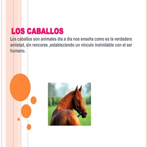 Los caballos (1)