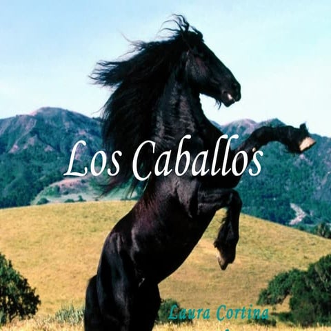 Los Caballoss