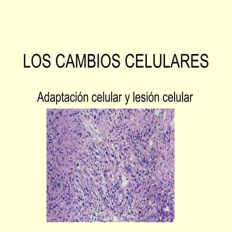 Los cambios celulares