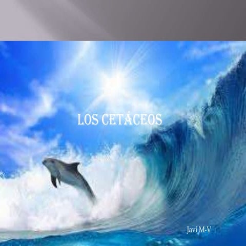 Los cetáceos javier martín v