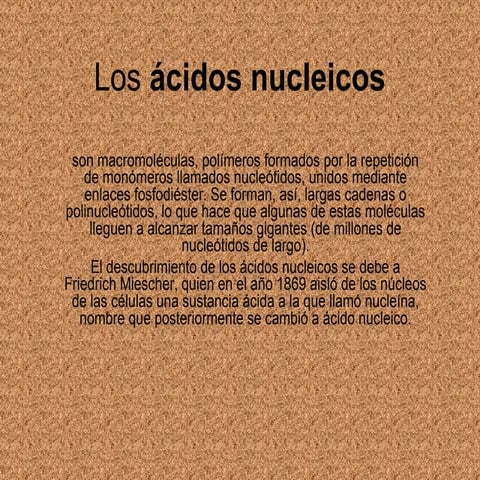 Los ácidos nucleicos