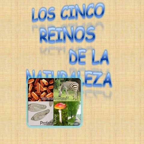 Los cinco reinos de la Naturaleza | PPTX
