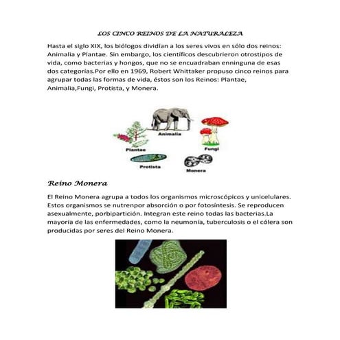 REINOS DE LA NATURALEZA | PPTX