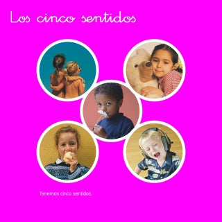 Los cinco sentidos