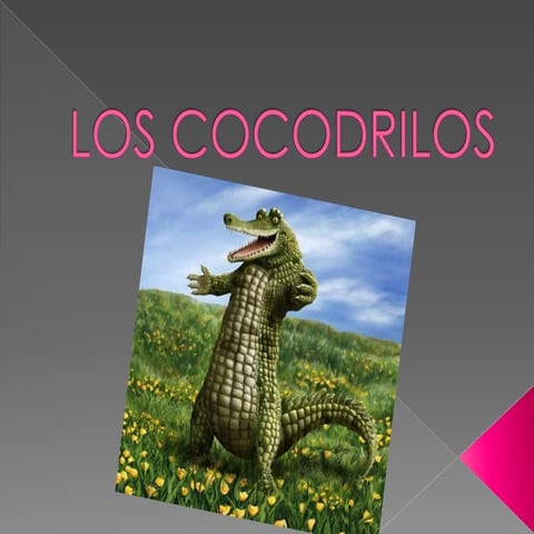 Los cocodrilos