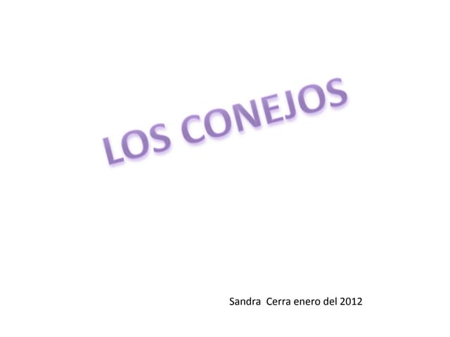 Los conejos