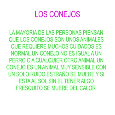 Los conejos.sara y bea