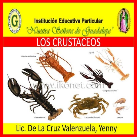 Los crustaceos