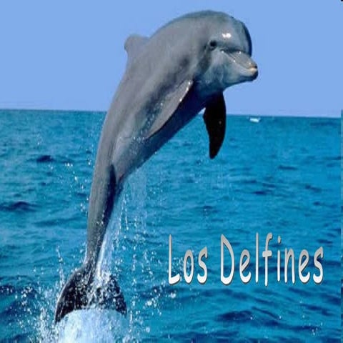 Los delfines