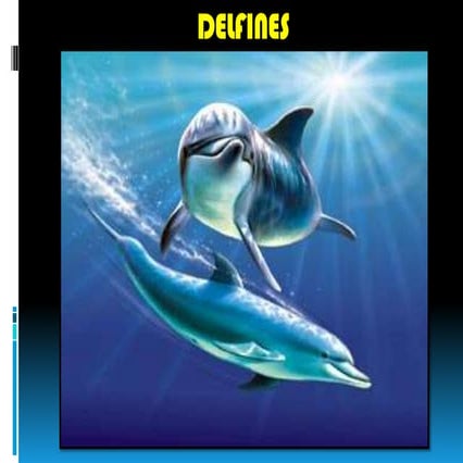 Los delfines