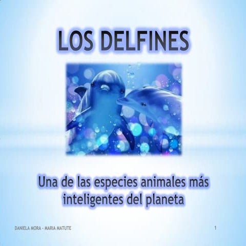 Los delfines