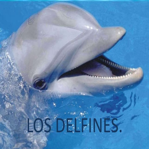 LOS DELFINES