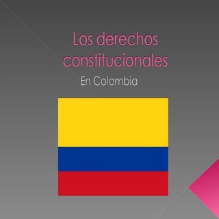 Los Derechos Constitucionales en co...