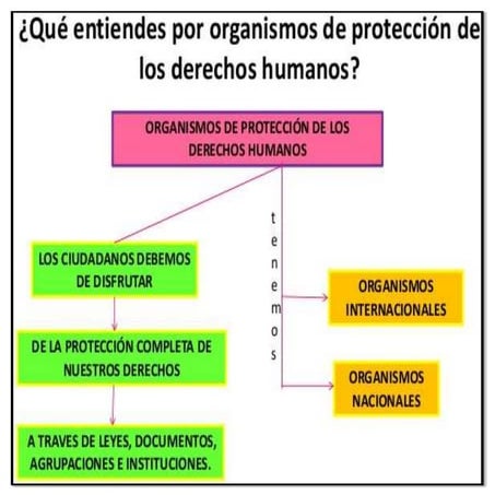 Los derechos humanos