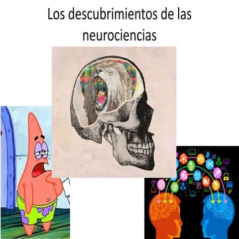 Los descubrimientos de las neurociencias
